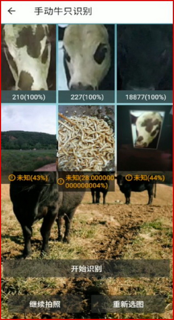 移动应用开发竞赛作品——“智能牛ID管家”—基于安卓及牛脸识别的养殖保险服务系统