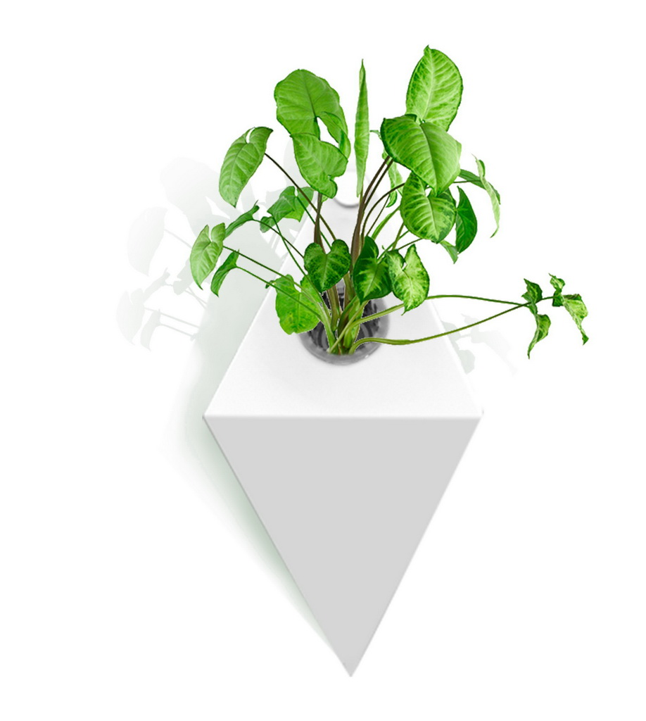 智能产品竞赛作品——雾贮方——一款致力于开发植物功效的软硬件产品