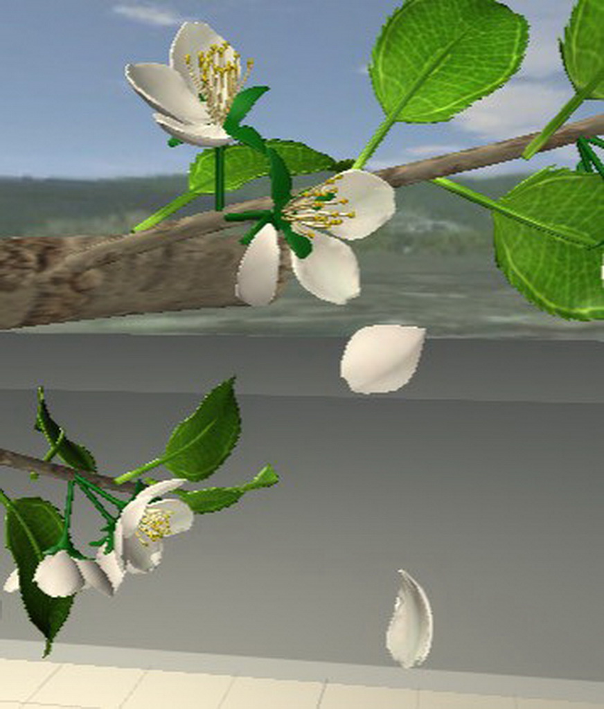 虚拟现实与游戏竞赛作品—— “春华秋实”—基于Leapmotion的虚拟果类农产品人机交互系统