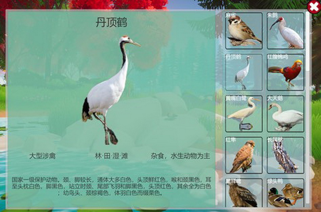 虚拟现实与游戏竞赛作品——湿地鸟类保护科普游戏